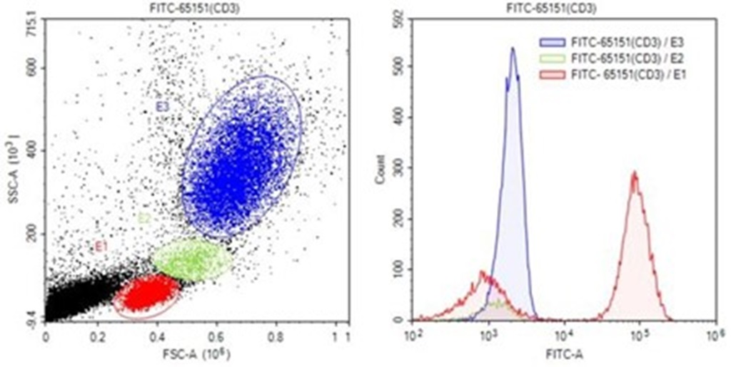 Flow cytometry